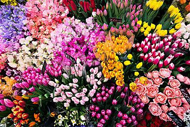 《刺客信条：影》巴西真人宣传片 致敬老派特摄剧