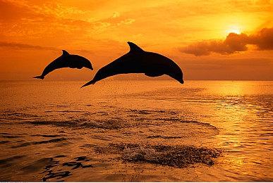 《沙石镇时光》抢先体验版将于5月26日推出